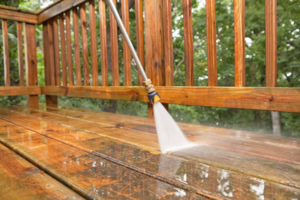 Trusted Ina, IL  Pressure Washing Services Experts